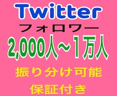 X・旧Twitterのフォロワー2000人増やします